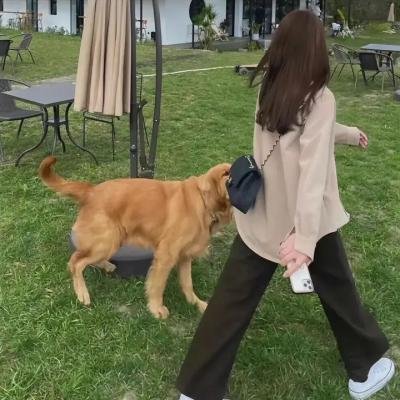 我的朋友叫哈维